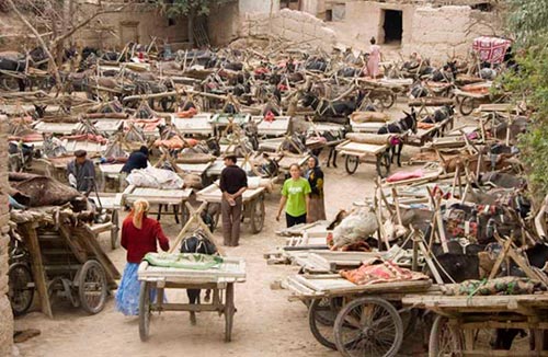 go to animal parking ima page