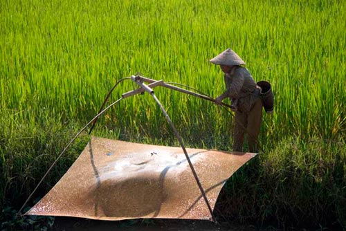 "Net fishing" Luang Nam Tha, Northern Laos