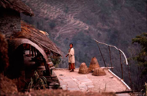 donna e paesaggio image