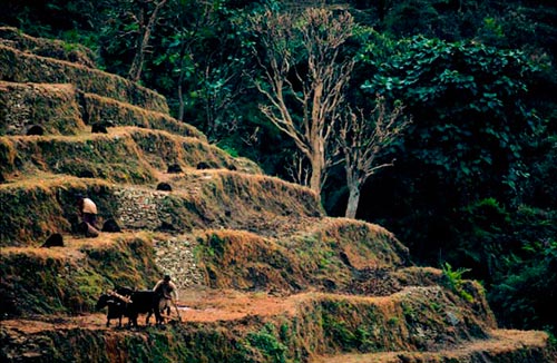 mountain farming image