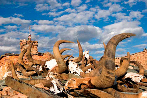 "Offerings of horns" Lake Manosarovar, Western Tibet