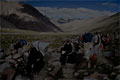 go to "Yaks carrying goods arround the Kora" Mount Kailash, Western Tibet, image page